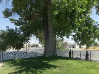 ビッグ チーフ モーテル のホテル