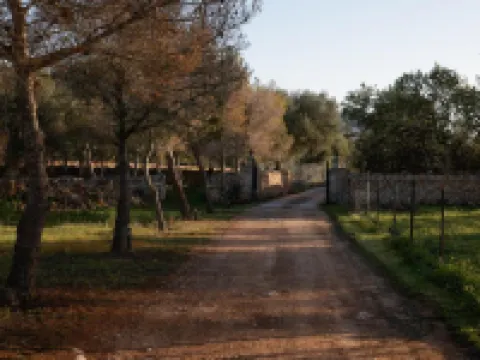 Hotel Agroturismo Finca Son Pieras Hotels in Llucmajor