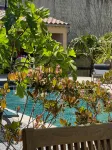 Maison Jacotte orange - Pools