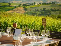Retrocantina Antonelli Hotels in Montefalco