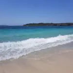 The Drawing Rooms of Berry