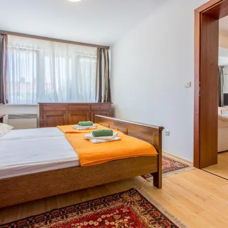 Apartments Robic