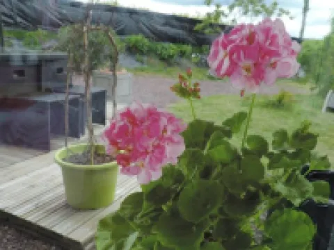 Villa des Hortensias Hotels in Paimpol