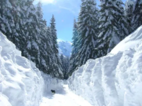 MB Hotel Hotels in Zabljak