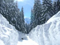 MB Hotel Hotels in Žabljak