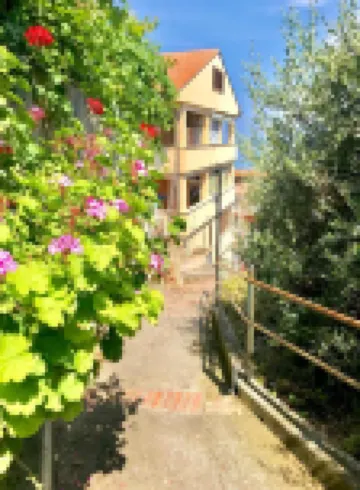 Ma&Mi Guest House