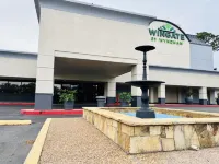 Wingate Houston Near NRG Park/Medical Center Hotels in Houston