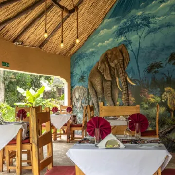 Africa Safari Arusha