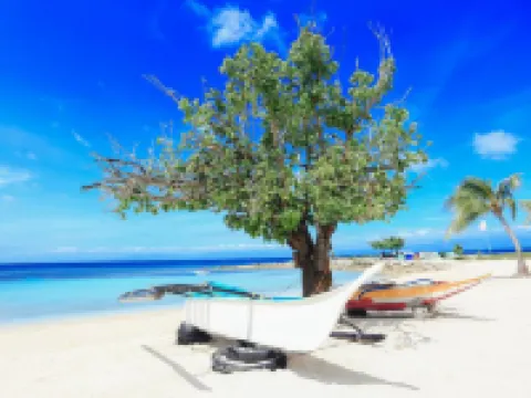 Marika Resort Hotels in Badian