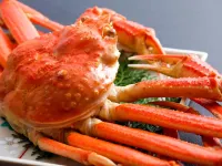 Amanohashidateso Hotels in Miyazu