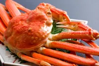 Amanohashidateso Hotels in Miyazu