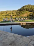 Quinta do Limite - Agroturismo - 4-Star