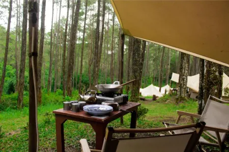 Lembah Pinus Отели рядом с достопримечательностью «Тангкубан»