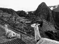 Picos House MachuPicchu - Pensionat