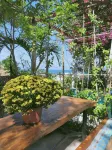 Confetti House Hotels near Dich vụ xe Thị Xã Sông Cầu