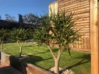 RElaxed City Living Hotels near Doxa Deo Walmer