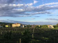 Albergo Grappolo d'Oro Hotels in Montebelluna