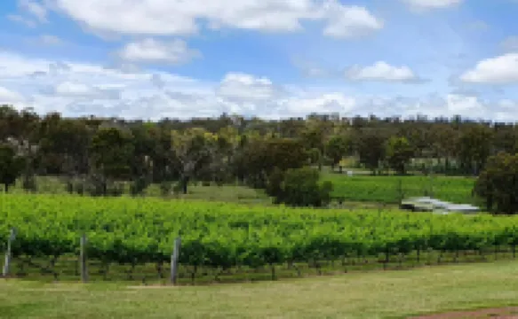 賈思特紅葡萄酒農家樂
