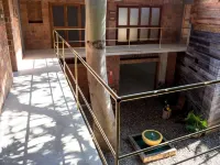 Hotel Pochote Mazunte