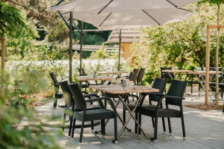 L'Ao Hôtel & Restaurant l'Aigle d'Or Отели в г. Митзаш