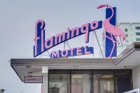 Flamingo Motel - Motels