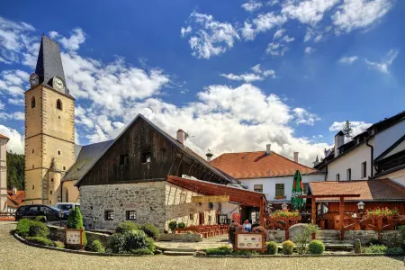 Hotel U Martina Отели в г. Фримбурк