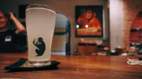 貢布猴子共和國旅館 - 酒吧
