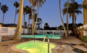 Ocean View Luxury Condo Oceanfront and Pool