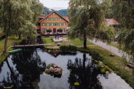 Hotel Zur Alten Mühle Отели рядом с достопримечательностью «Баумвипфельпфад Шварцвальд»