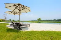 Barahi Jungle Lodge - Luksus
