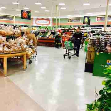 A Tranquil House in Cambridge Others