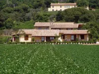 Agriturismo Casale del Contadino - 3-Star