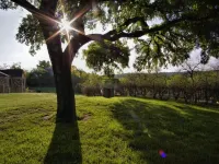 Live Oak B&B Hotels in Somervell County