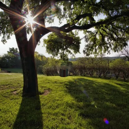 Live Oak B&B