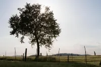 Hotel Palazzo Brunamonti Hotels in Montefalco