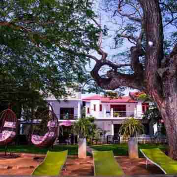 Serendib Village Guest House Hotel Exterior