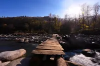 Zostel Dobhi, Manali