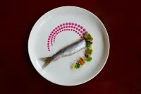 Hotel & Restaurant de Fortuna Hotels in Monnickendam