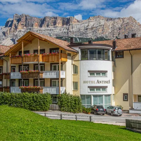 Hotel Antines