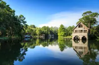 Magnolia Springs Bed and Breakfast - Homestays