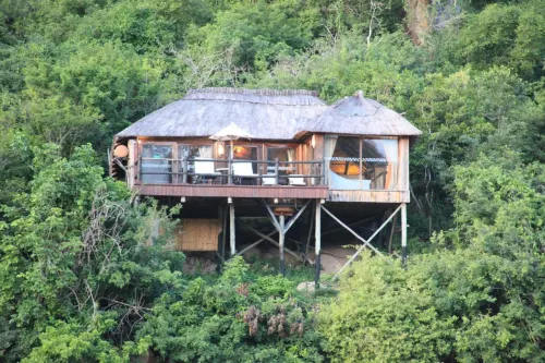 Serena Mivumo River Lodge - Homestays