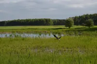 Hotel Fürstenhof Hotels in Rathenow