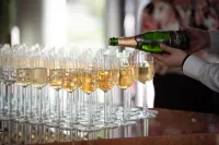 Best Western Plus Grow Hotel - bar