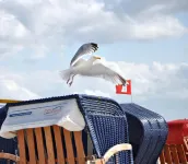 Ferienwohnungen in Bensersiel