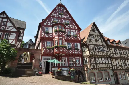 Hotel Schmuckkästchen Отели в г. Айхенбюль