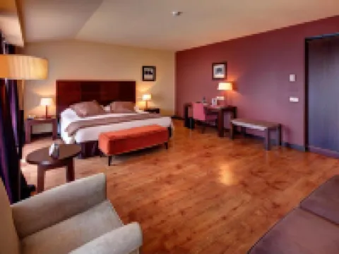 巴瓦斯特羅城市大酒店 韋斯卡省酒店