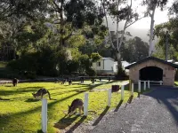 Discovery Parks - Halls Gap - Bãi đậu xe