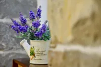 Casa Matošića Apartments