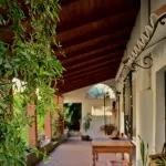 Casa del Arbol Hostel Hotels in Concepcion del Uruguay