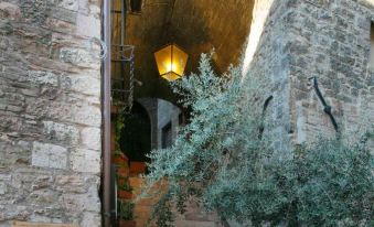 Hotel Properzio